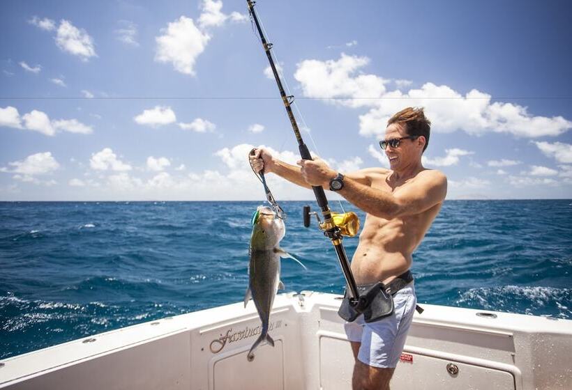 فندق Lizard Island Resort