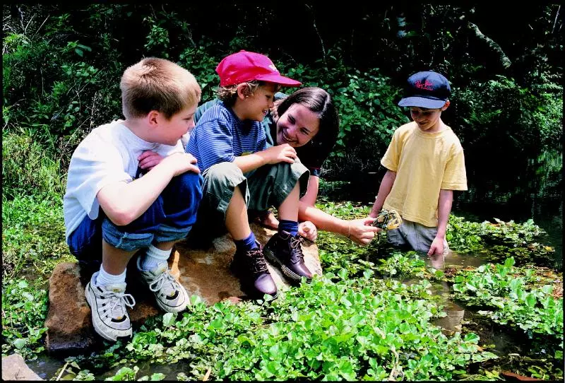Отель Oreillys Rainforest Retreat
