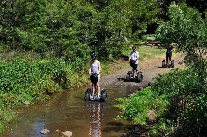 Отель Oreillys Rainforest Retreat