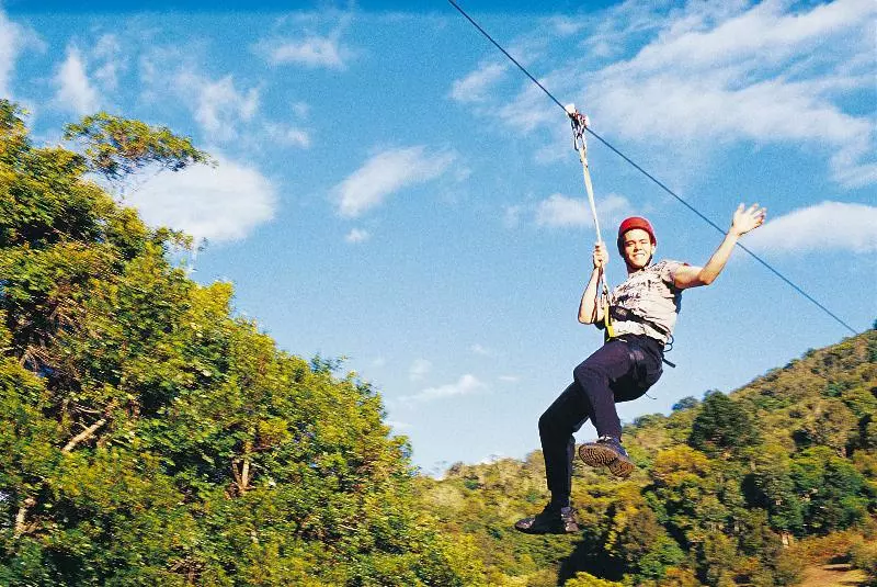 Отель Oreillys Rainforest Retreat