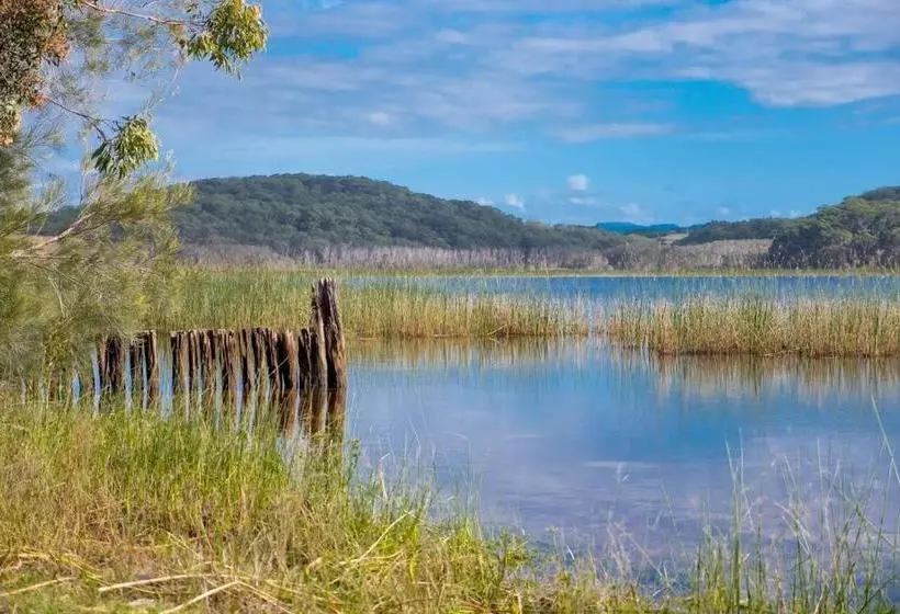 リゾートホテル Cabarita Lake Apartments