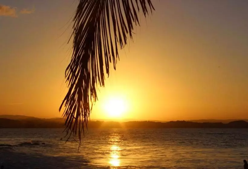 בית מלון כפרי Arabella Motor Inn