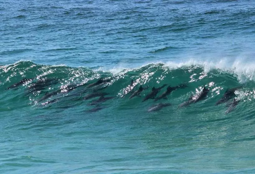 בית מלון כפרי Arabella Motor Inn