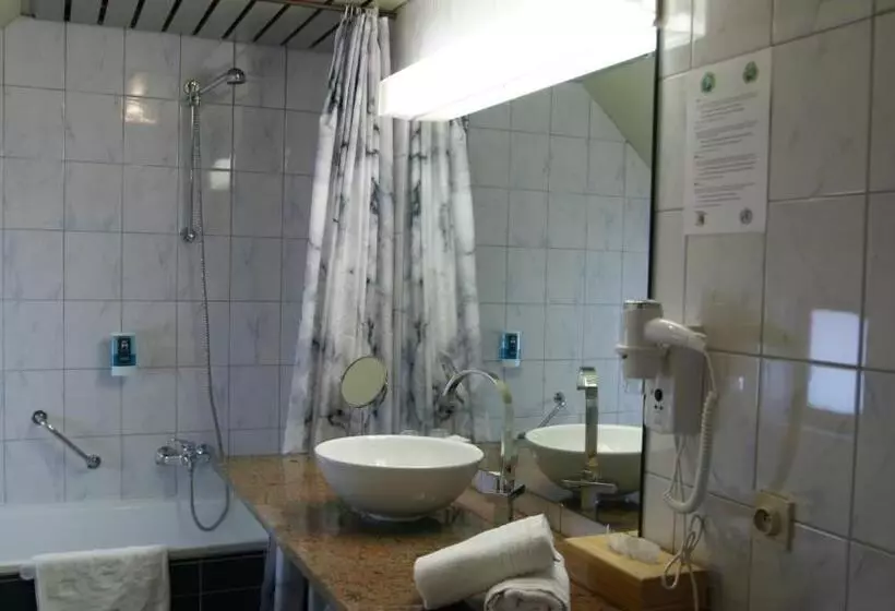 בית מלון כפרי De Basiliek