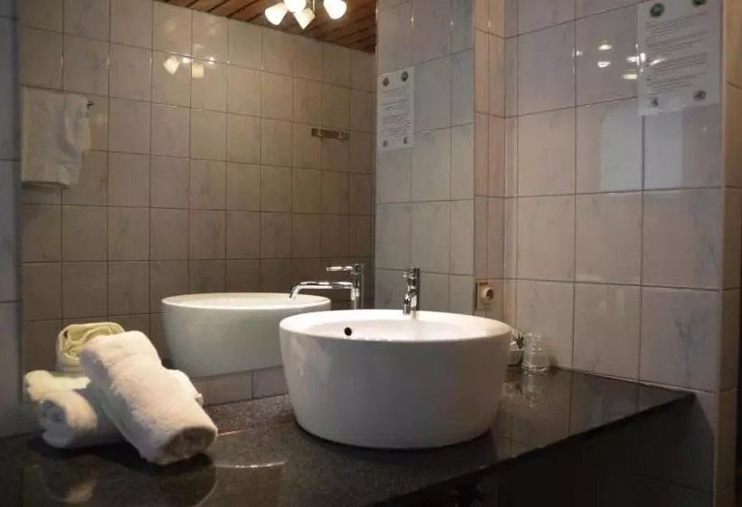 בית מלון כפרי De Basiliek