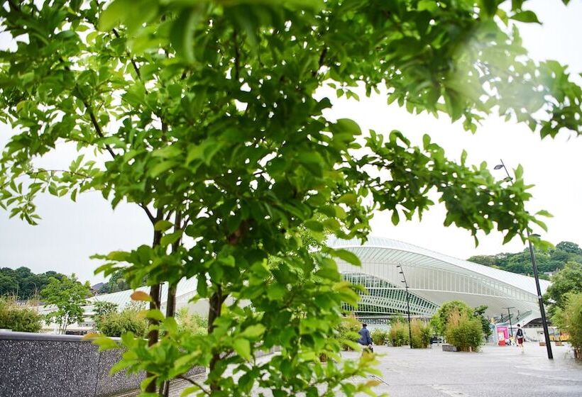 هتل De La Couronne Liege