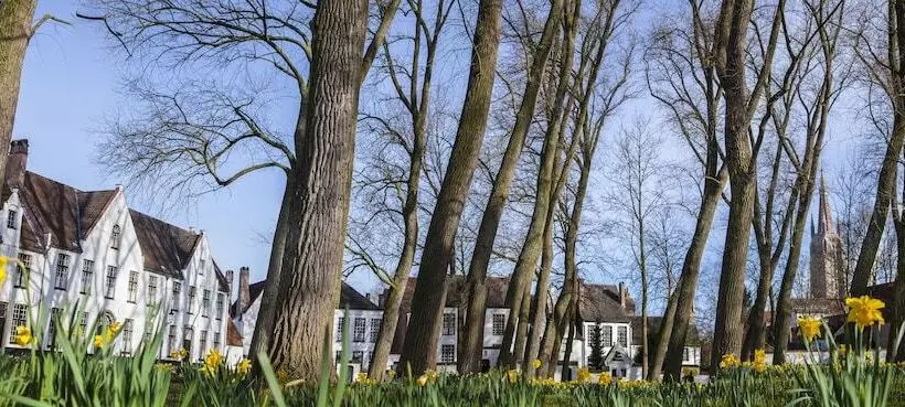 호텔 Navarra Brugge