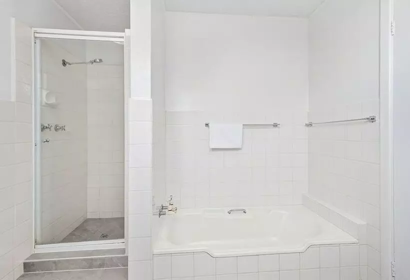 酒店 The Robert Towns