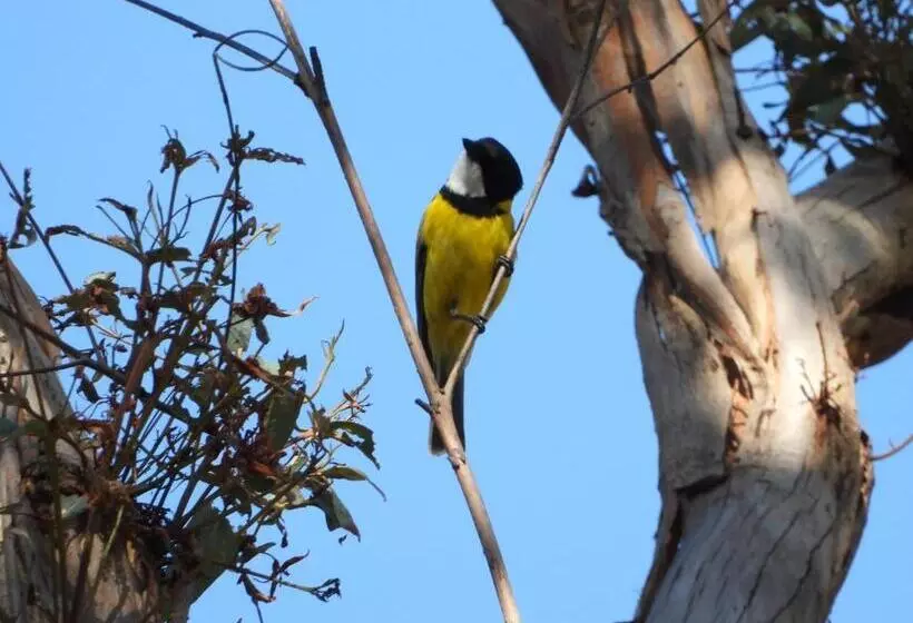The Bower At Broulee