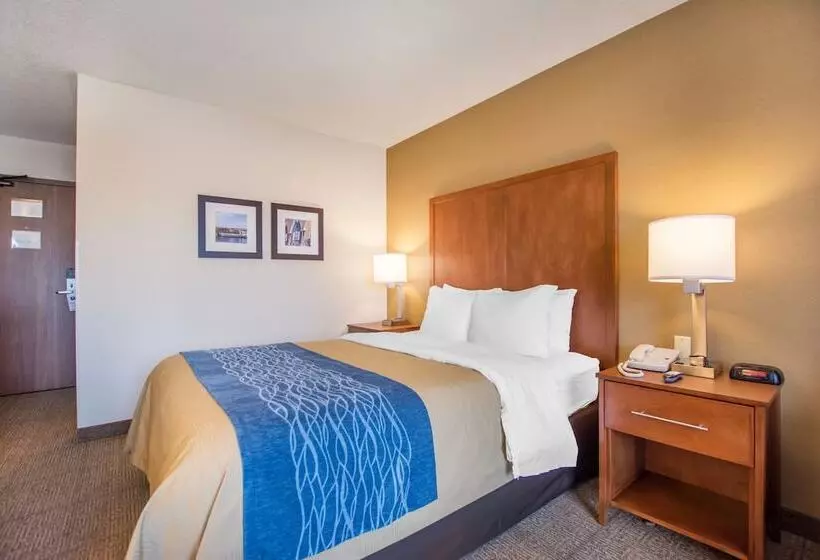 فندق Comfort Inn