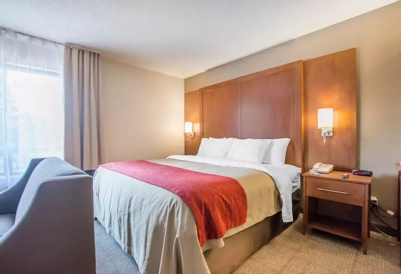 فندق Comfort Inn