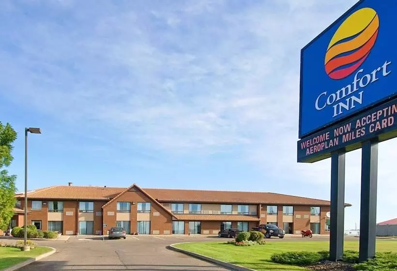 호텔 Comfort Inn