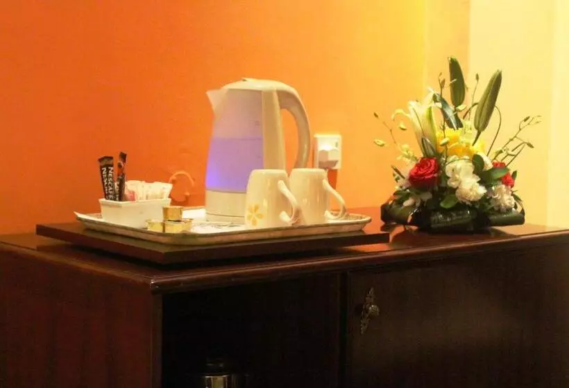 هتل Delmon International