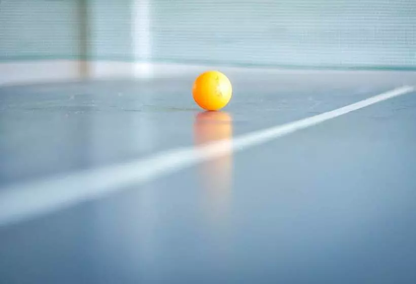 فندق Dom Pedro I Palace