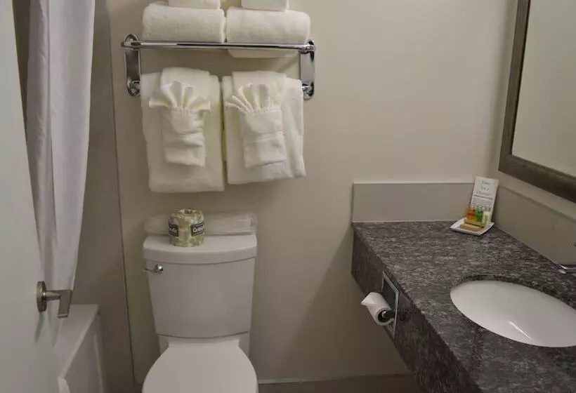 בית מלון כפרי Guest House Inn & Suites