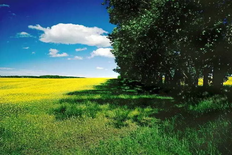 Hotel The Westin Edmonton