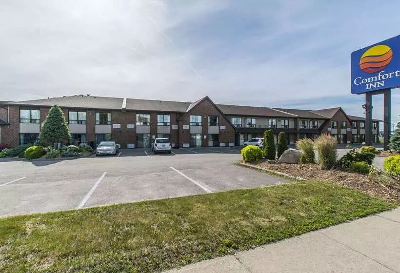 فندق Comfort Inn