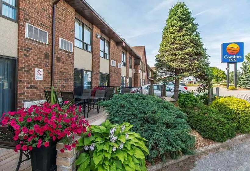 فندق Comfort Inn