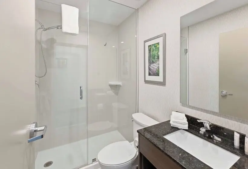 ホテル Days Inn By Wyndham Niagara Falls Lundys Lane
