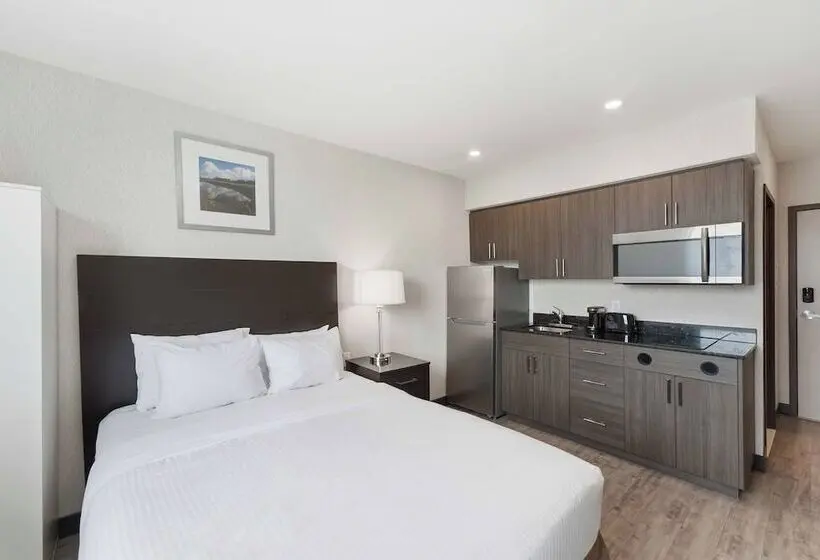 ホテル Days Inn By Wyndham Niagara Falls Lundys Lane