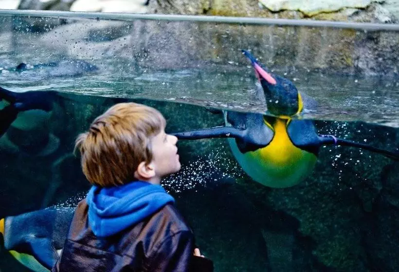 Delta Hotels By Marriott Calgary Downtown