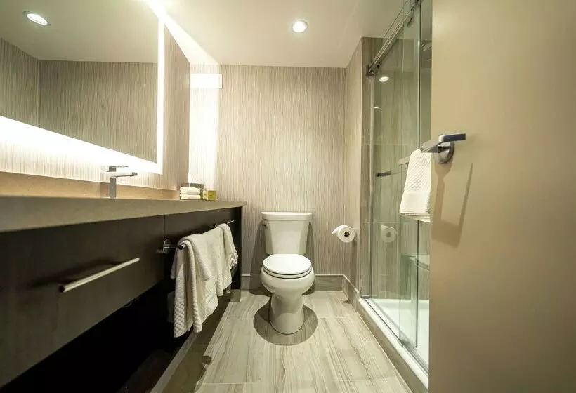 酒店 Doubletree By Hilton Kitchener