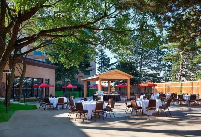 Hotel Four Points By Sheraton Toronto Airport