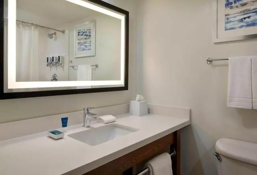 Hotel Four Points By Sheraton Toronto Airport