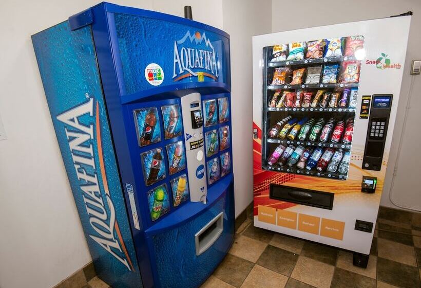 Hotel Holiday Inn Express Red Deer, An Ihg