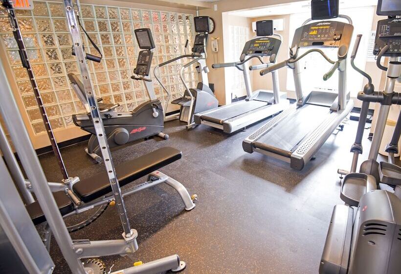 Hotel Holiday Inn Express Red Deer, An Ihg