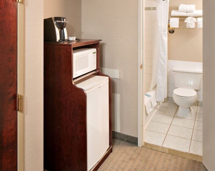 Hotel Holiday Inn Express Red Deer, An Ihg