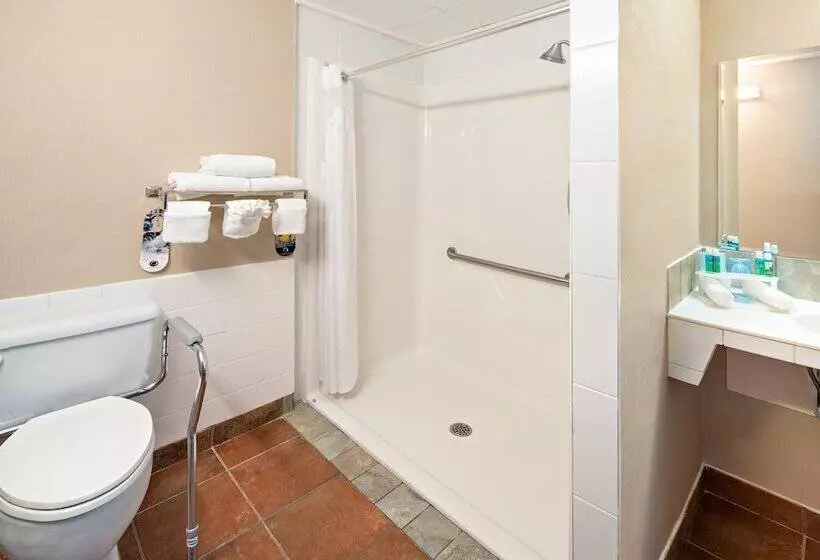 Hotell Holiday Inn Express Red Deer, An Ihg