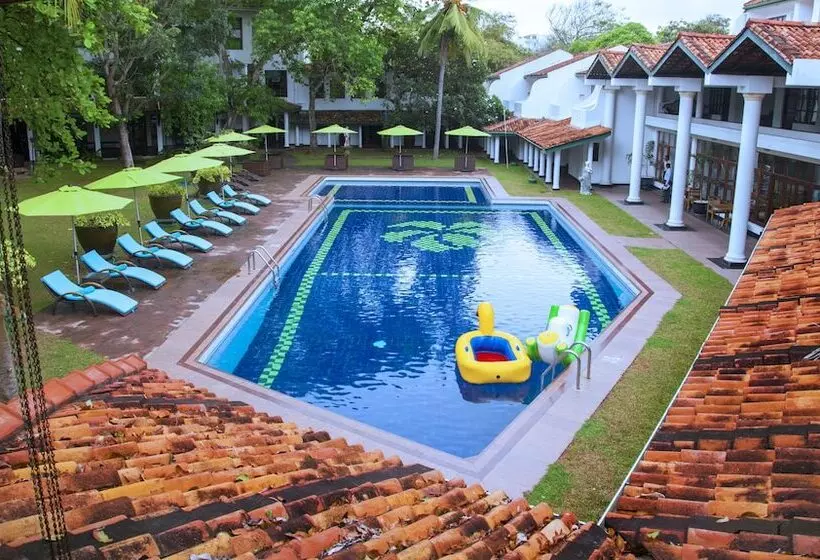 ホテル Palms, Mount Lavinia