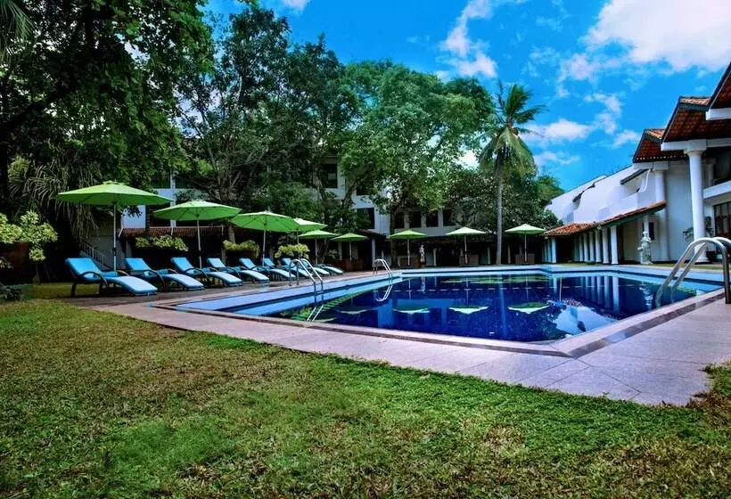 ホテル Palms, Mount Lavinia