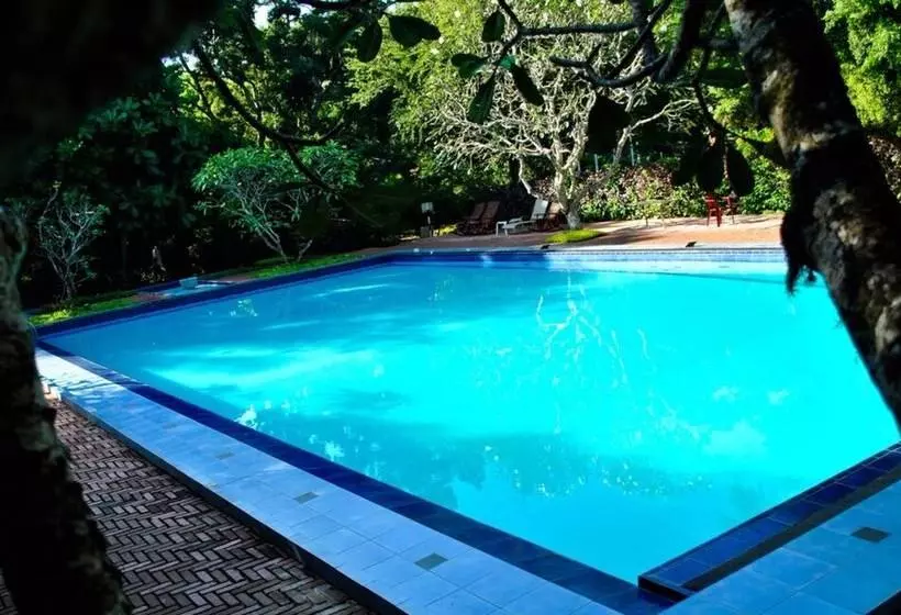 Hotel Peacock Beach Resort & Spa