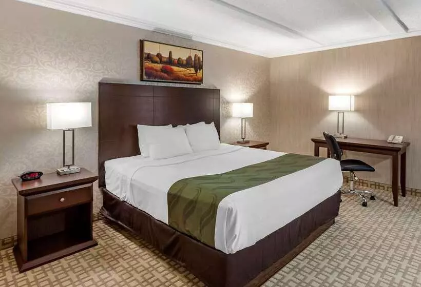 ホテル Quality Inn & Conference Centre