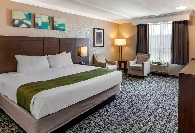 ホテル Quality Inn & Conference Centre