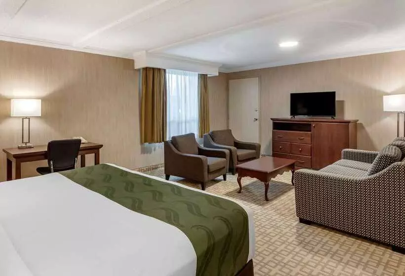 ホテル Quality Inn & Conference Centre