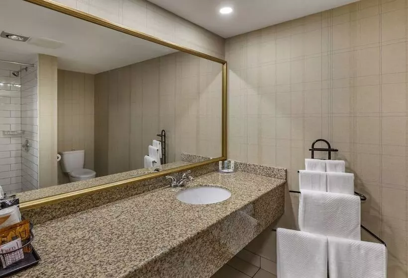 ホテル Quality Inn & Conference Centre