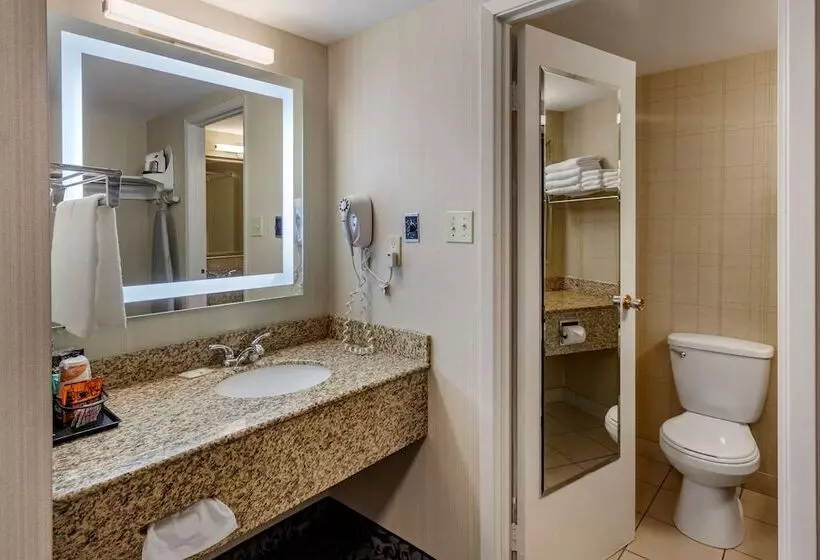 ホテル Quality Inn & Conference Centre