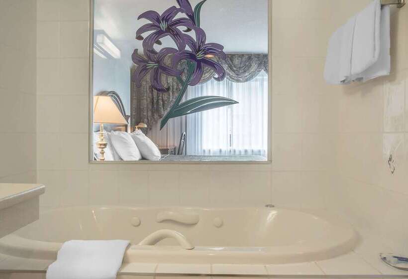 فندق Rodeway Inn Fallsview