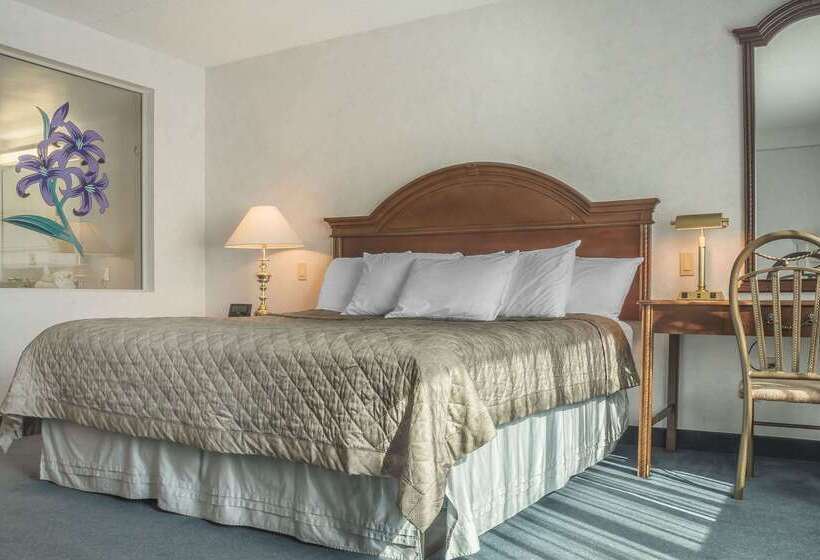 فندق Rodeway Inn Fallsview
