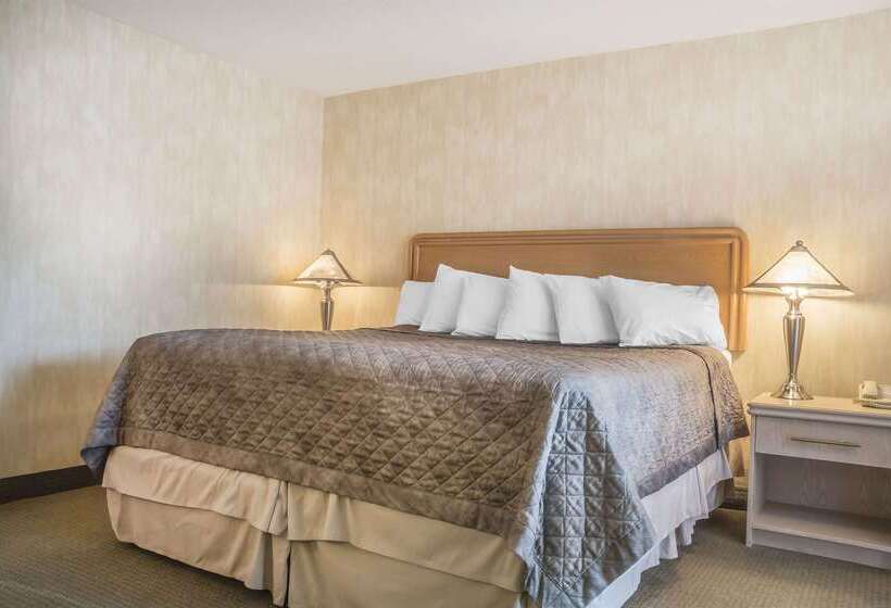 فندق Rodeway Inn Fallsview