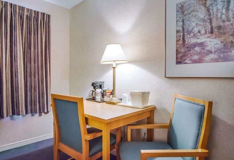 فندق Rodeway Inn