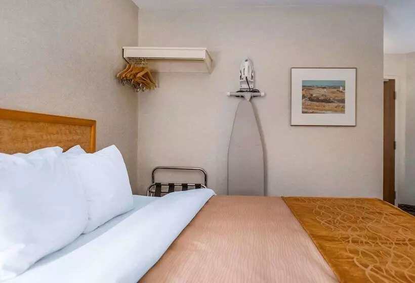 Отель Rodeway Inn