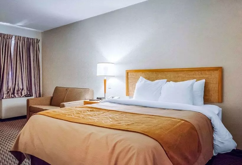 Отель Rodeway Inn