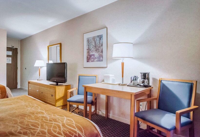 فندق Rodeway Inn