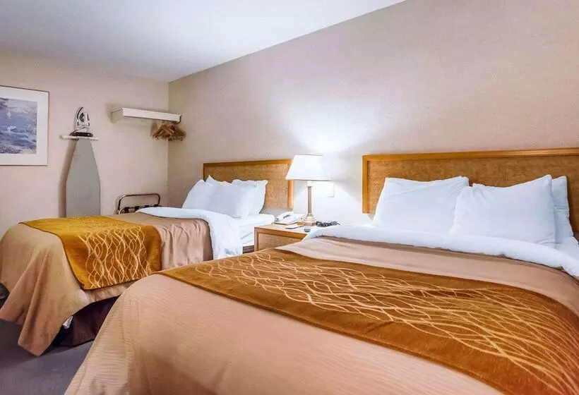 Отель Rodeway Inn