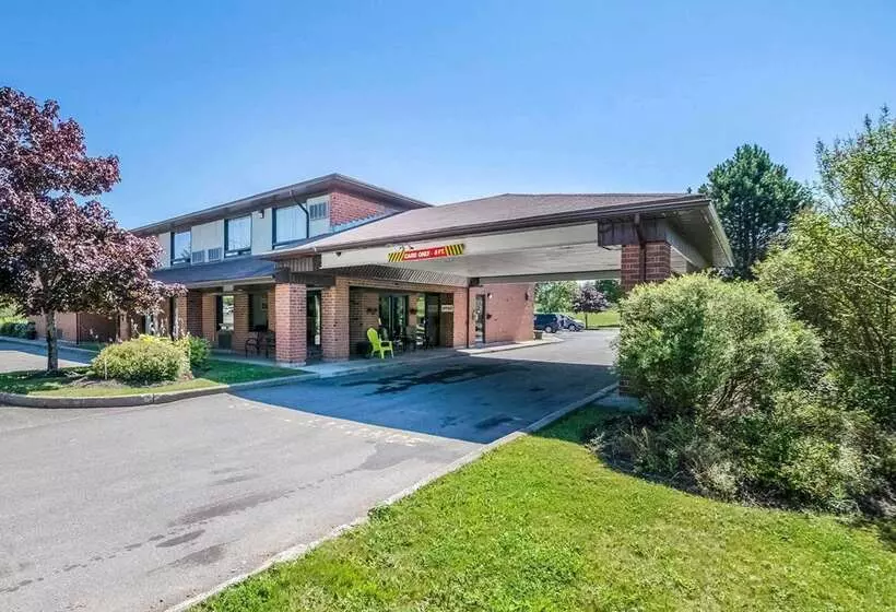 Отель Rodeway Inn