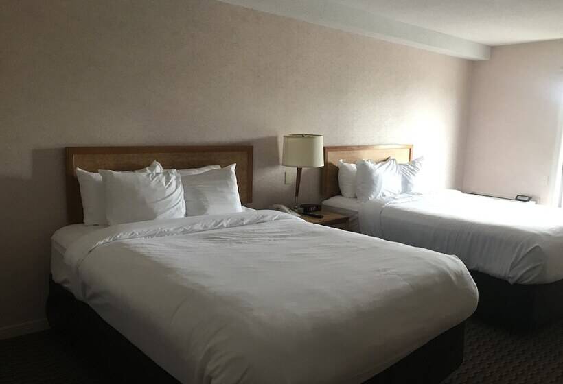 فندق Rodeway Inn